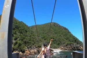 Cape Town: 10-Day Garden Route, Winelands & Cape Point Combo