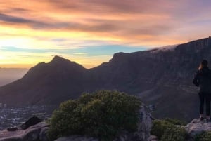 Cape Town: 10-Day Garden Route, Winelands & Cape Point Combo