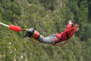 Cape Town: 10-Day Garden Route, Winelands & Cape Point Combo