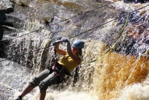 Cape Town: 10-Day Garden Route, Winelands & Cape Point Combo