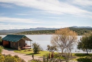 Cape Town: 10-Day Garden Route, Winelands & Cape Point Combo