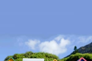 Cape Town: 10-Day Garden Route, Winelands & Cape Point Combo