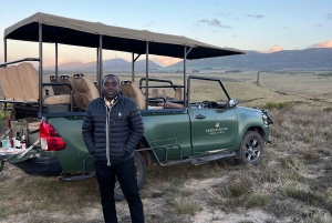 Cape Town: 2-Day at Garden Route Game Lodge Safari Tour