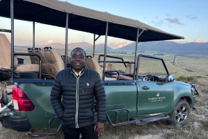 Cape Town: 2-Day at Garden Route Game Lodge Safari Tour