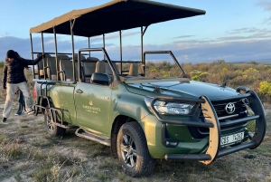 Cape Town: 2-Day at Garden Route Game Lodge Safari Tour
