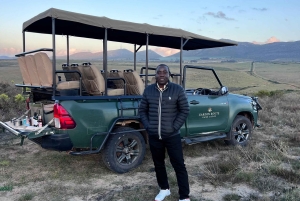 Cape Town: 2-Day at Garden Route Game Lodge Safari Tour