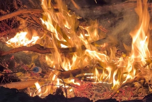 Cape Town: 2-Day at Garden Route Game Lodge Safari Tour