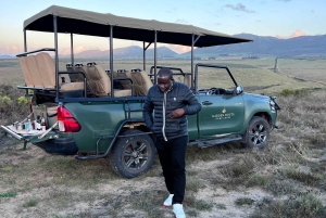 Cape Town: 2-Day at Garden Route Game Lodge Safari Tour