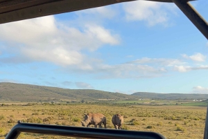 Cape Town: 2-Day at Garden Route Game Lodge Safari Tour