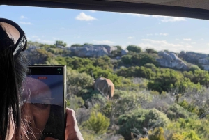 Cape Town: 2-Day at Garden Route Game Lodge Safari Tour