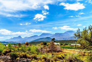 Cape Town: 3-Day Safari and Elephant Experience