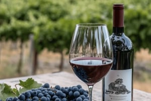 Cape Town: 3-Day Safari and Elephant Experience