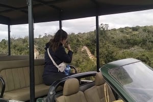 ガーデンルートとアド・エレファント国立公園のサファリ（5日間）：ケープタウン