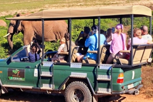 Kapstadt: 5-tägige Garden Route Tour nach Port Elizabeth