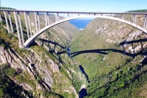 Kapstadt: 5-tägige Garden Route Tour nach Port Elizabeth
