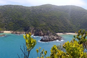 Cape Town: 7-Day Garden Route Tour with Wine Tasting