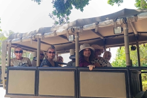 Cape Town: 7-Day Garden Route Tour with Wine Tasting