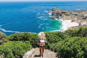 Le Cap : 9 jours sur la côte du Cap et la Garden Route avec visite d'Addo