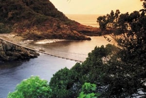 Le Cap : 9 jours sur la côte du Cap et la Garden Route avec visite d'Addo