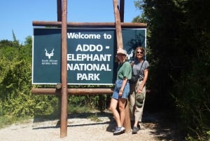 Le Cap : 9 jours sur la côte du Cap et la Garden Route avec visite d'Addo