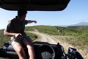 Le Cap : 9 jours sur la côte du Cap et la Garden Route avec visite d'Addo