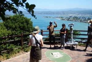 Le Cap : 9 jours sur la côte du Cap et la Garden Route avec visite d'Addo