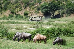 Le Cap : 9 jours sur la côte du Cap et la Garden Route avec visite d'Addo