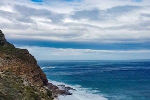 Le Cap : 9 jours sur la côte du Cap et la Garden Route avec visite d'Addo