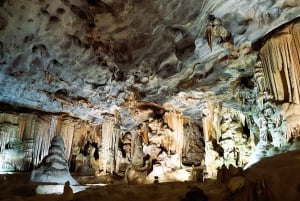 Le Cap : 9 jours sur la côte du Cap et la Garden Route avec visite d'Addo