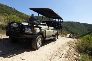 Le Cap : 9 jours sur la côte du Cap et la Garden Route avec visite d'Addo
