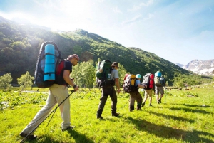 Kapkaupunki ja Garden Route 8 päivän retki majoituksella