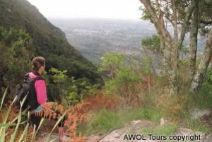 Cape Town Private Guided Table Mountain Hikes