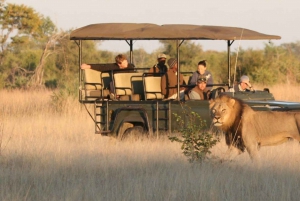 Da Città del Capo a Johannesburg: tour di 14 giorni attraverso Durban