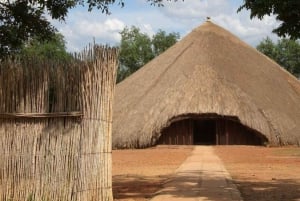 Au départ du Cap : circuit de 10 jours à Johannesburg via la Garden Route