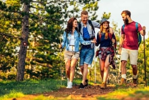 Fra Cape Town: 15 dagers fascinerende eventyr til Johannesburg