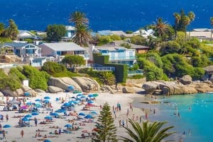 Fra Cape Town: 15 dagers fascinerende eventyr til Johannesburg