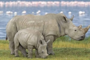 Van Kaapstad: 15-daags avontuur naar Johannesburg