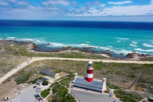 Kapkaupungista: 2-päiväinen Garden Route -safari pingviinien kanssa