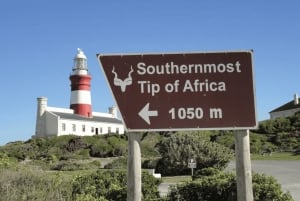 From Cape Town: 3-Day Cape Alguhas, Safari & Winelands Tour