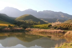 Z Kapsztadu: 4-dniowa wycieczka po luksusowym ogrodzie