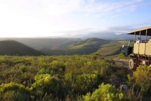 Da Cidade do Cabo: excursão de seleção de rota de jardim de luxo de 4 dias