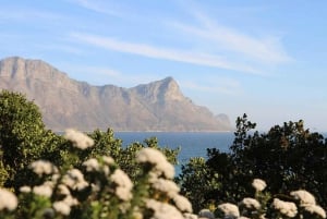 Från Kapstaden: 4 dagars lyxig Garden Route Selection Tour