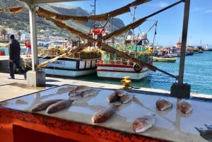 From Cape Town: Cape Point, Penguins And Wine Tasting Tour