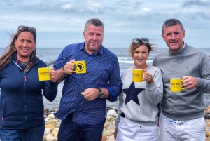 From Cape Town: Cape Point, Penguins And Wine Tasting Tour