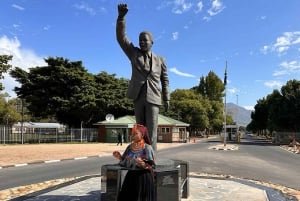 From Cape Town: Stellenbosch & Franschhoek Wine Tasting Tour