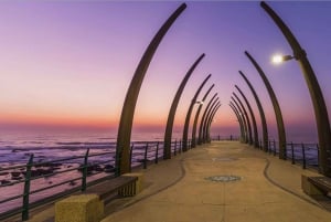 Fra CapeTown: 12-dagers tur til Johannesburg med overnatting