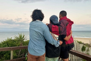 Au départ de Stellenbosch : circuit de 3 jours sur la Garden Route avec safari