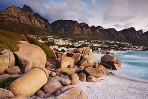 Cape Town: Full-Day Cape Peninsula Tour with Transfers