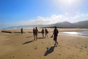 From Cape Town: 7 Day Garden Route, Addo and Winelands Combo