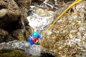 Garden Route: Guidad canyoning-äventyr